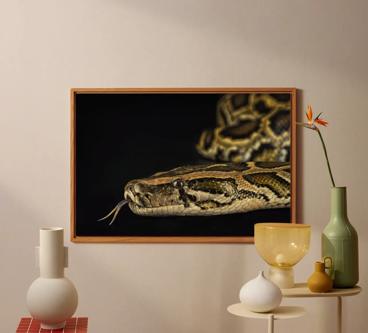 Pitone Immagine di testa alluminio dibond da Curious Collections by Marielle Leenders