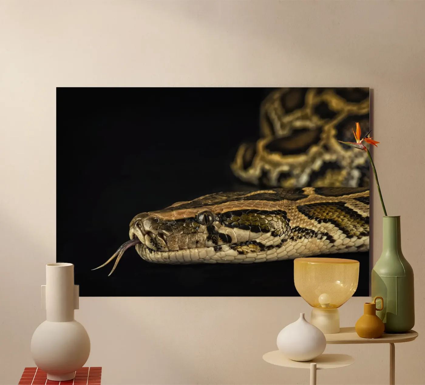 Python Hoofdfoto forex-plaat van Curious Collections by Marielle Leenders