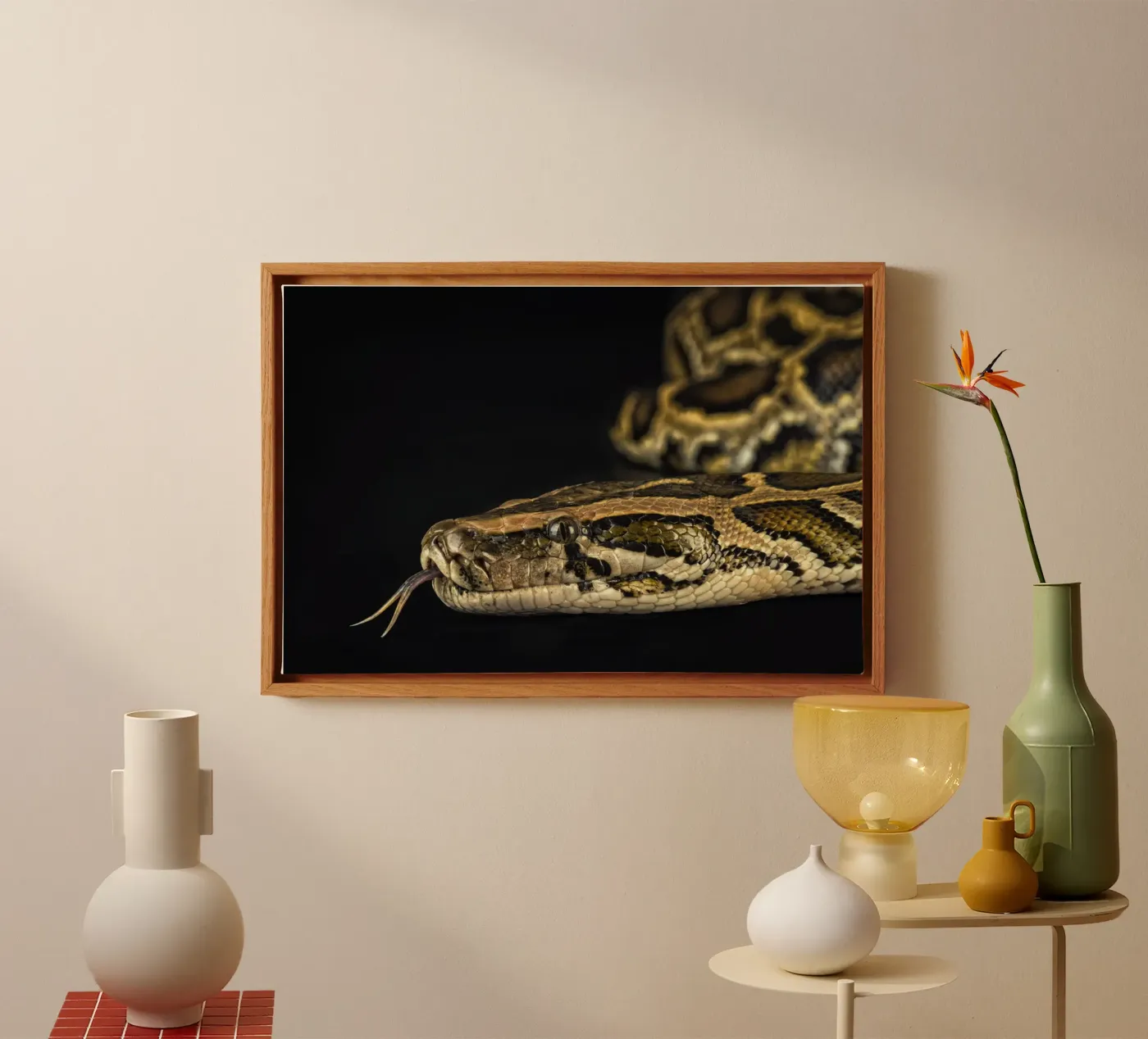 Python Headshot Leinwand von Curious Collections by Marielle Leenders