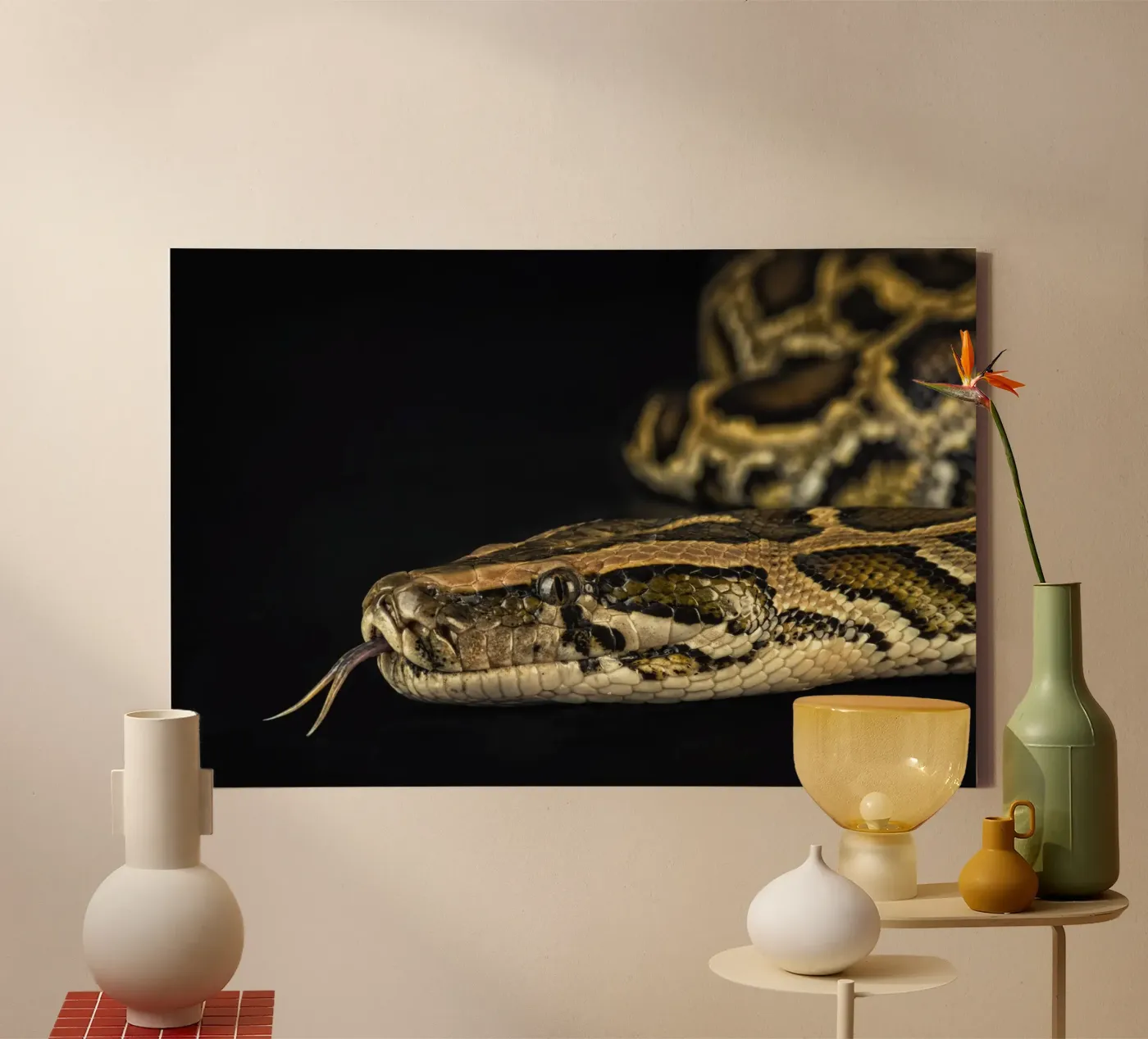 Python Headshot Leinwand von Curious Collections by Marielle Leenders