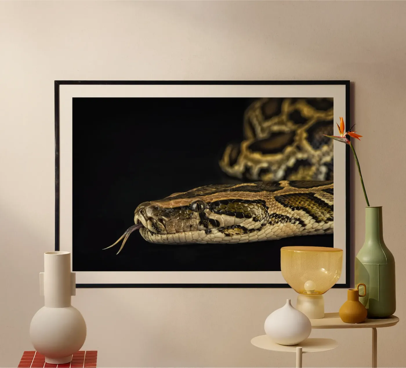 Python Headshot Poster von Curious Collections by Marielle Leenders