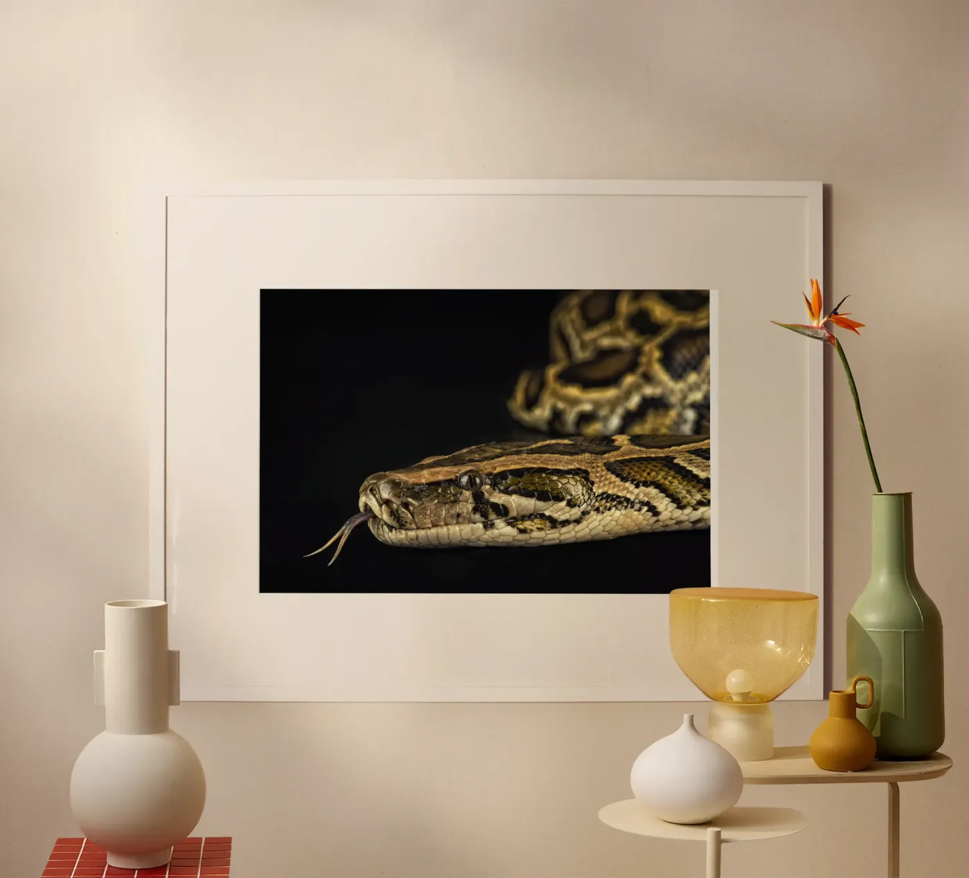 Python Headshot Poster von Curious Collections by Marielle Leenders