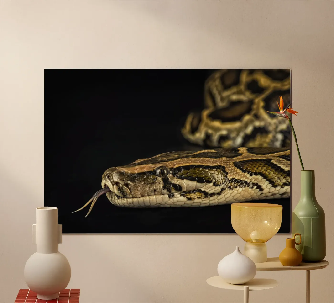 Python Hoofdfoto poster van Curious Collections by Marielle Leenders