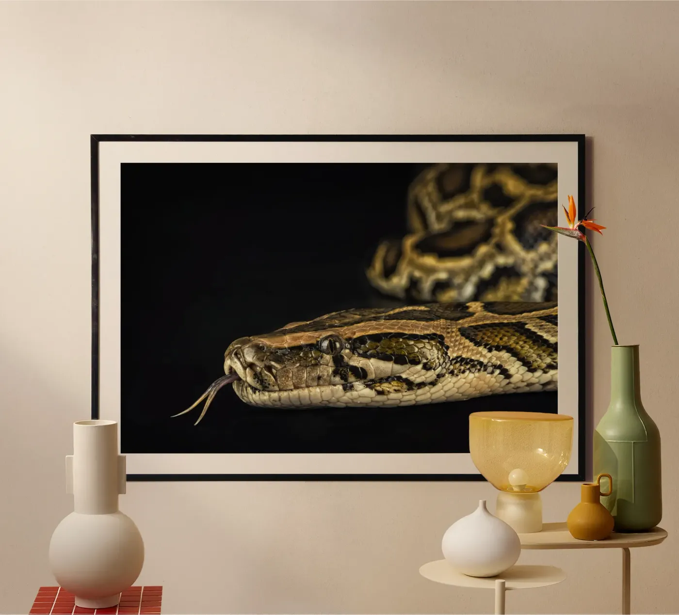 Python Hoofdfoto poster van Curious Collections by Marielle Leenders