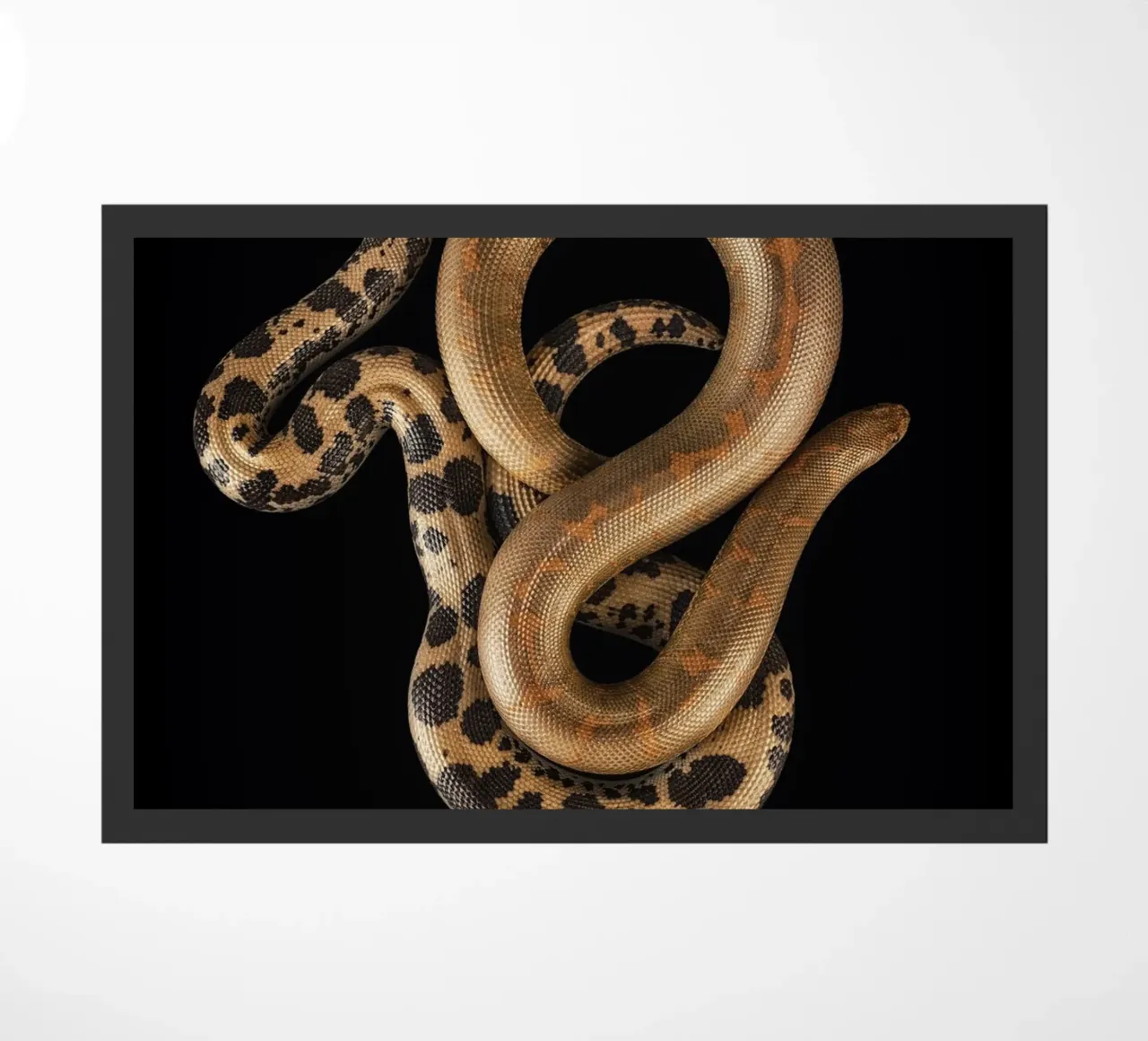 Crawling Snakes doormat by Curious Collections by Marielle Leenders