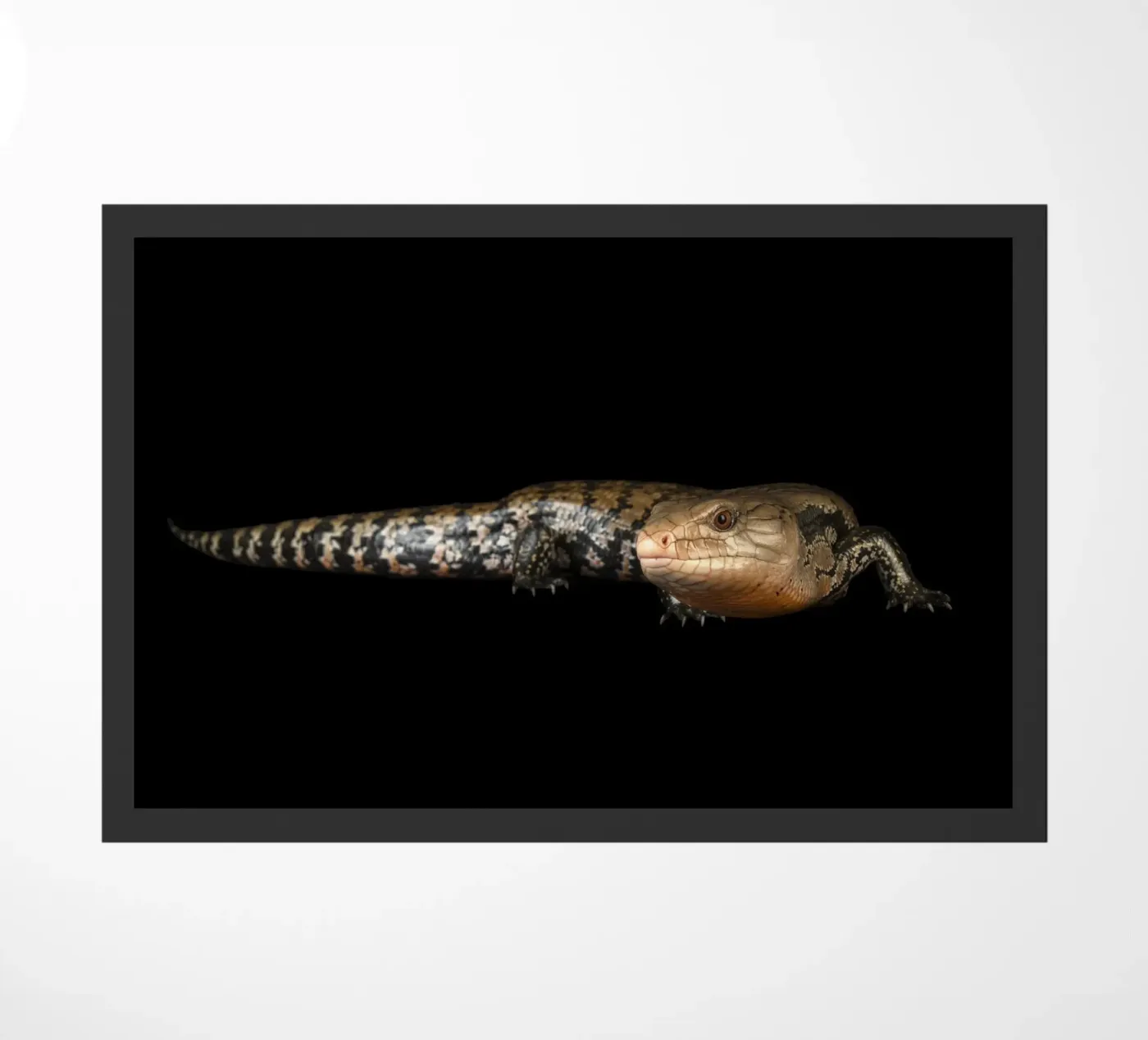 Lézard paillasson de Curious Collections by Marielle Leenders