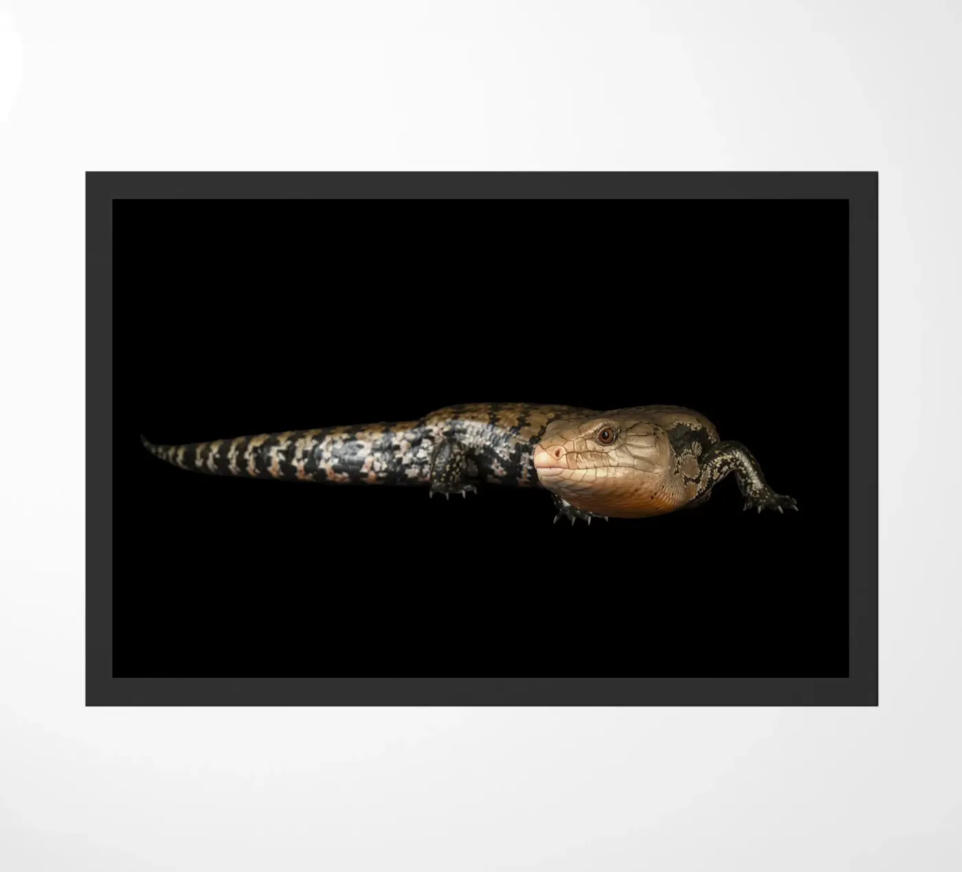 Hagedis deurmat van Curious Collections by Marielle Leenders