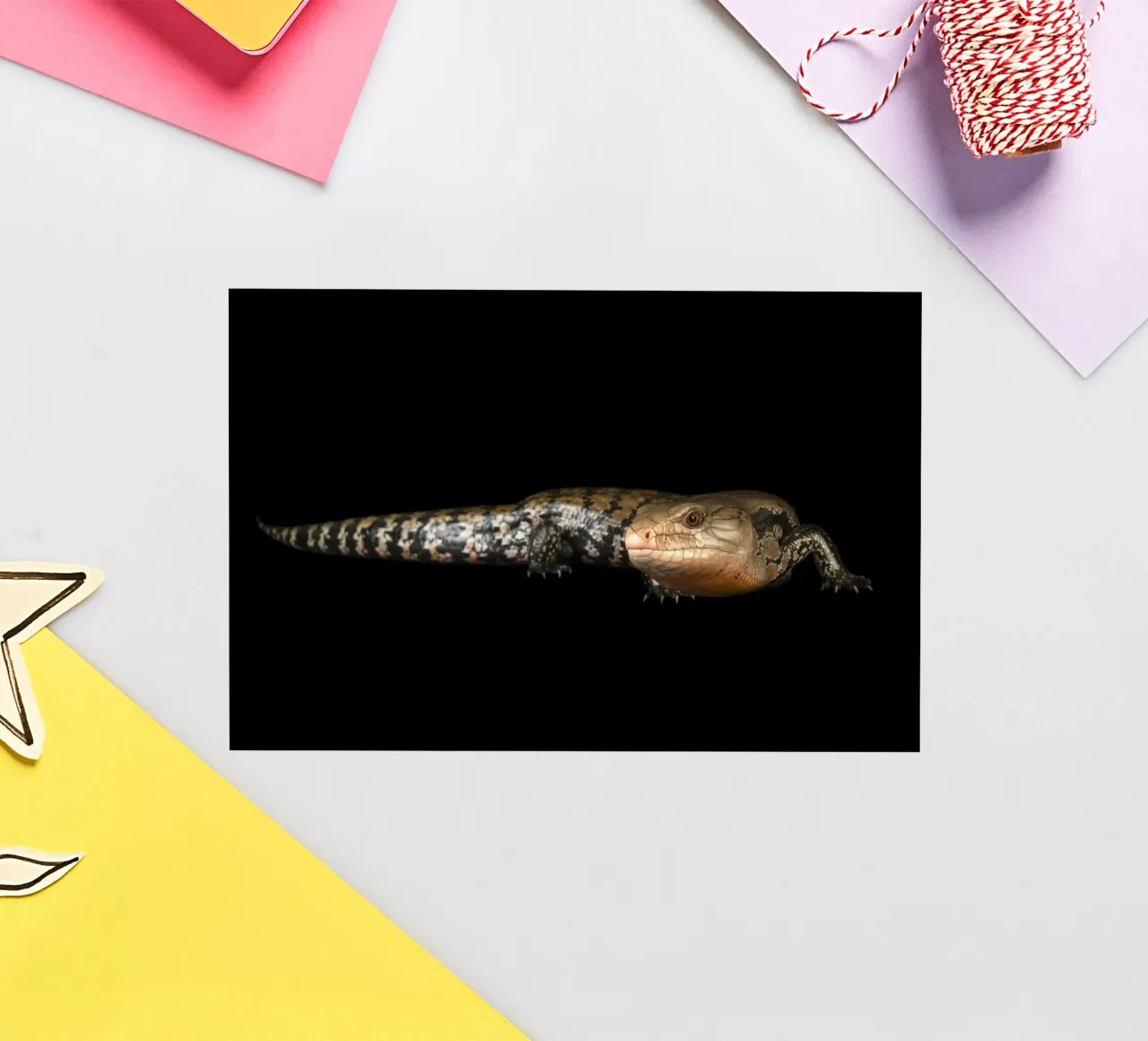 Lizard sticker by Curious Collections by Marielle Leenders