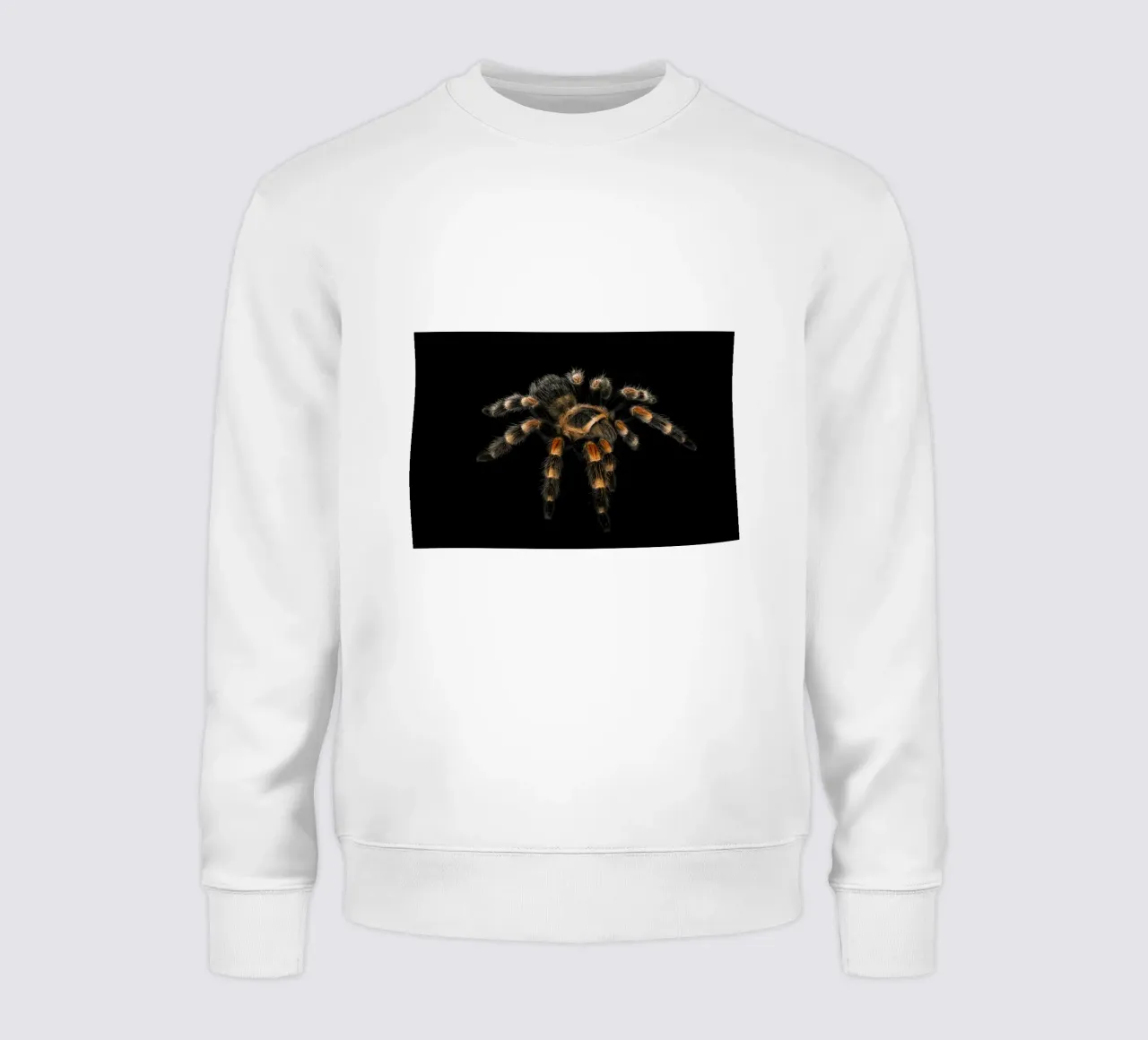 Tarantola felpa da Curious Collections by Marielle Leenders