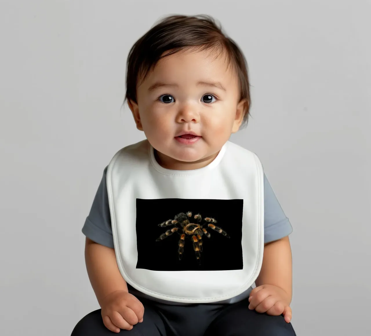Tarantola bavaglino da Curious Collections by Marielle Leenders