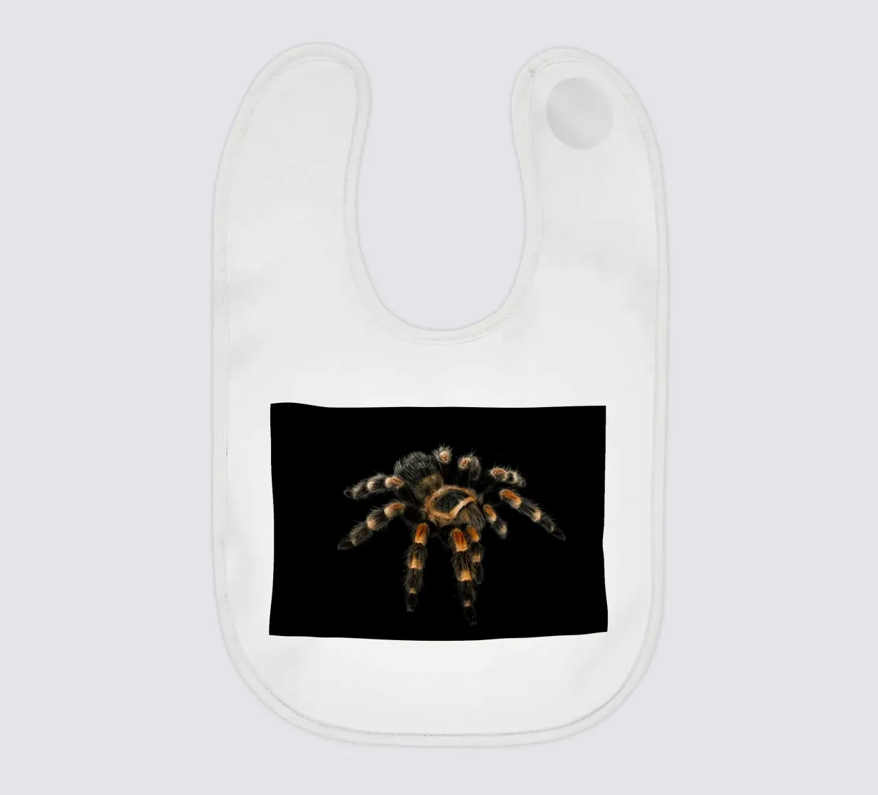 Tarantula baby bib by Curious Collections by Marielle Leenders