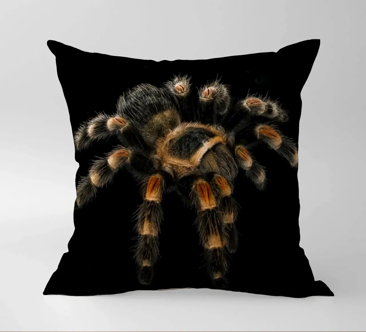 Tarantola cuscino da Curious Collections by Marielle Leenders