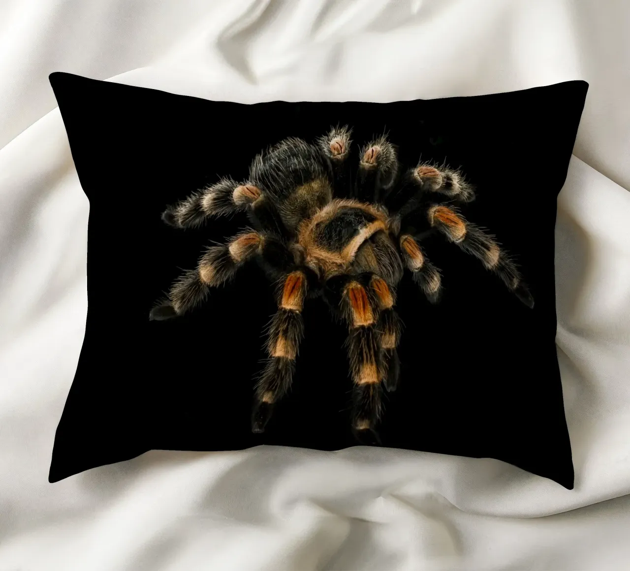 Tarantola cuscino da Curious Collections by Marielle Leenders