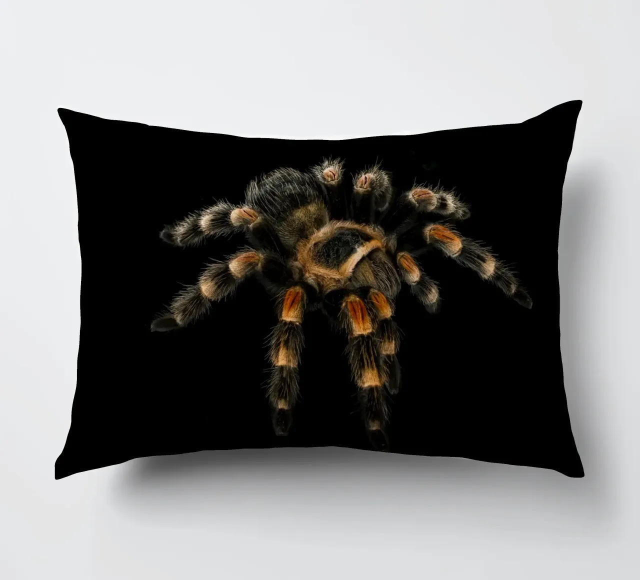 Tarantola cuscino da Curious Collections by Marielle Leenders