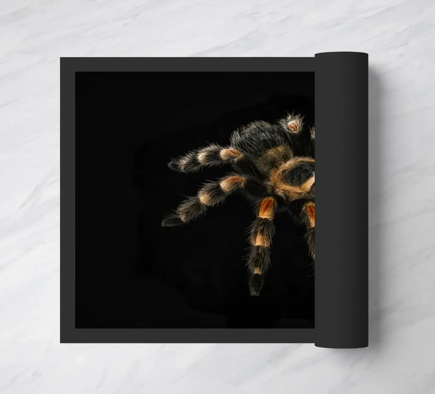 Vogelspinne Fußmatte von Curious Collections by Marielle Leenders