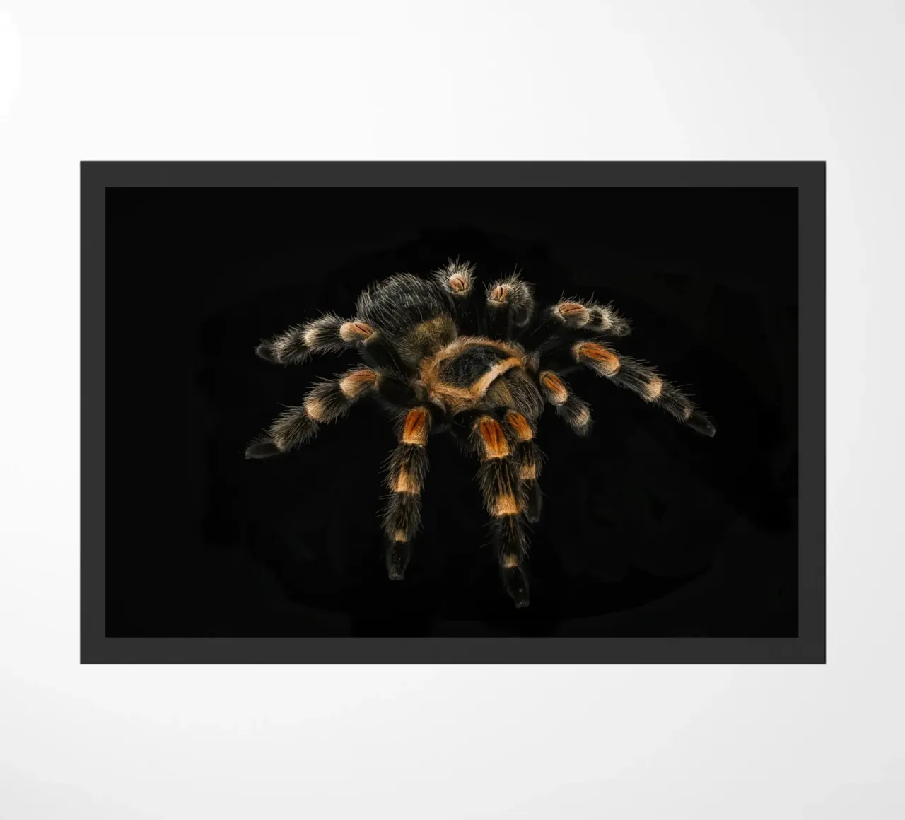 Tarantula doormat by Curious Collections by Marielle Leenders