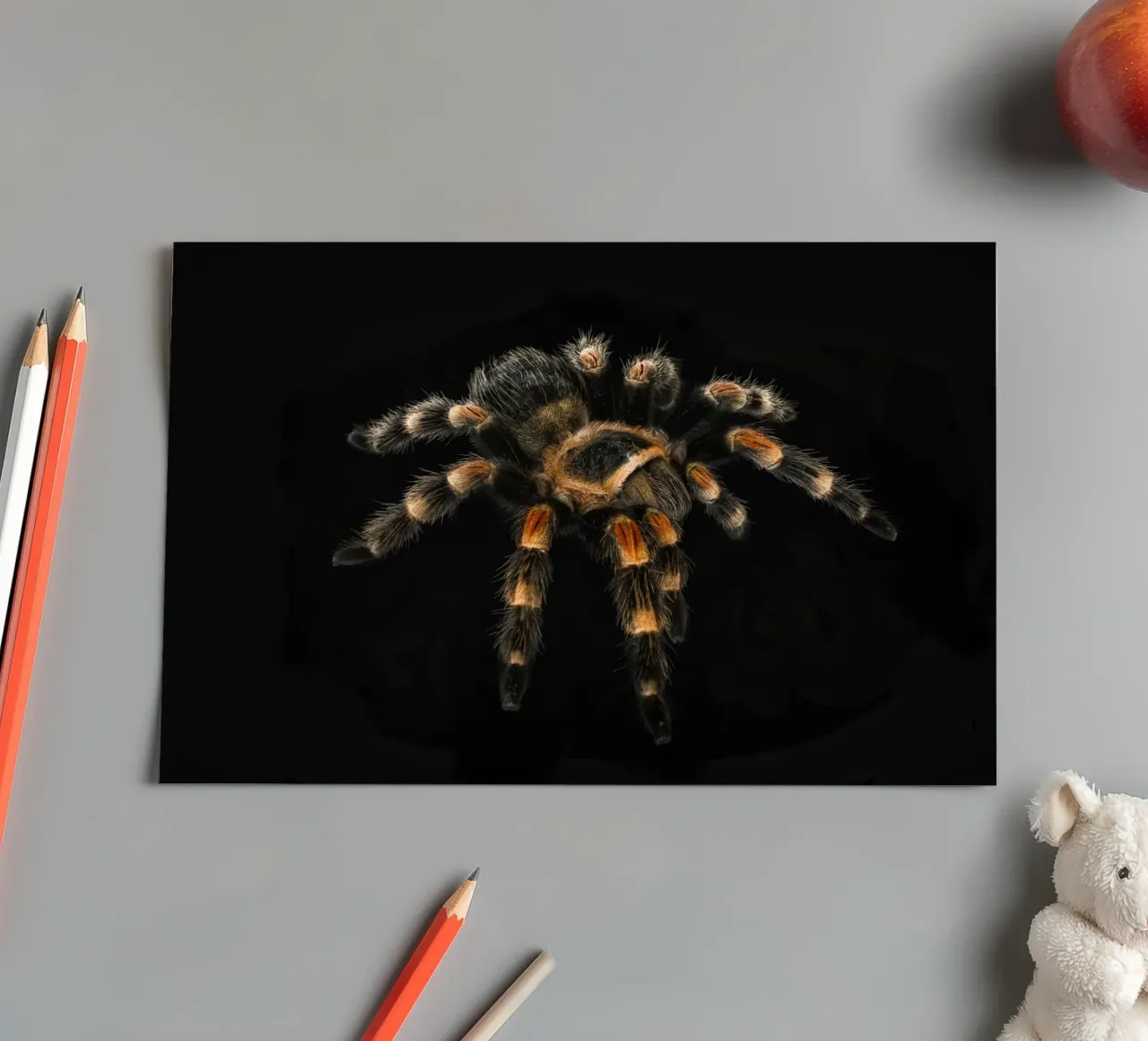 Tarantula sticker sheet by Curious Collections by Marielle Leenders