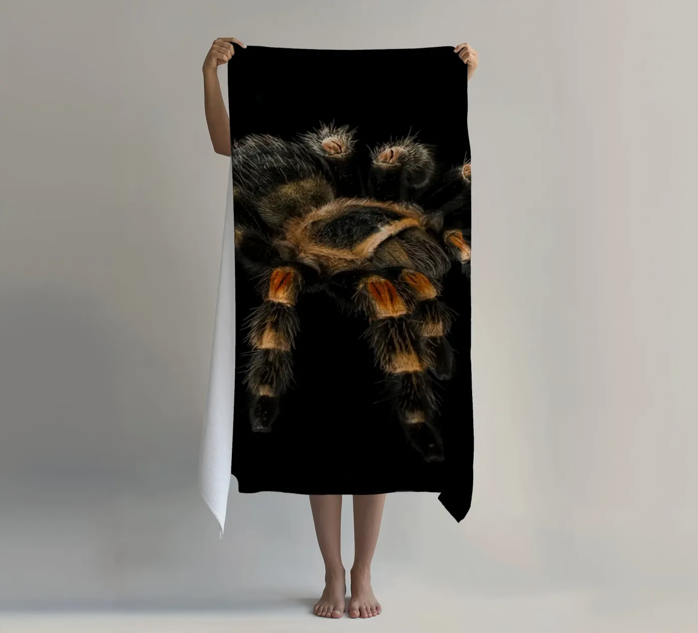 Tarantula telo mare da Curious Collections by Marielle Leenders