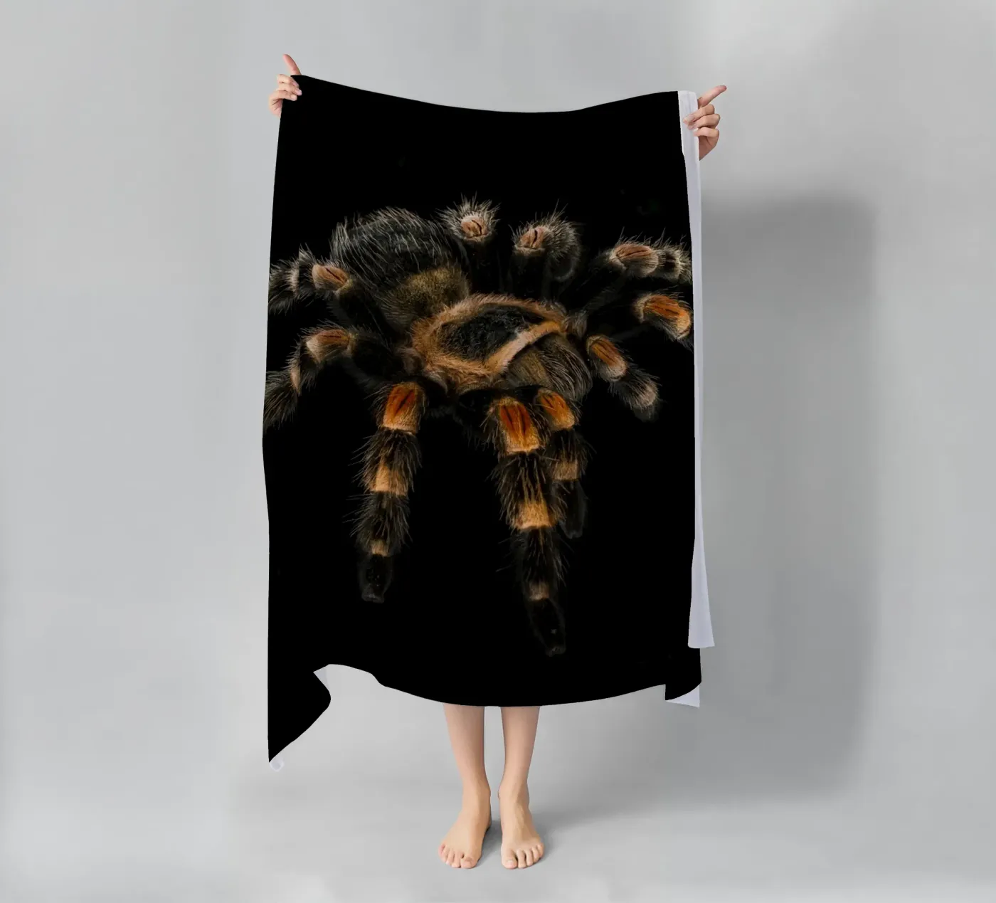 Tarantula telo mare da Curious Collections by Marielle Leenders
