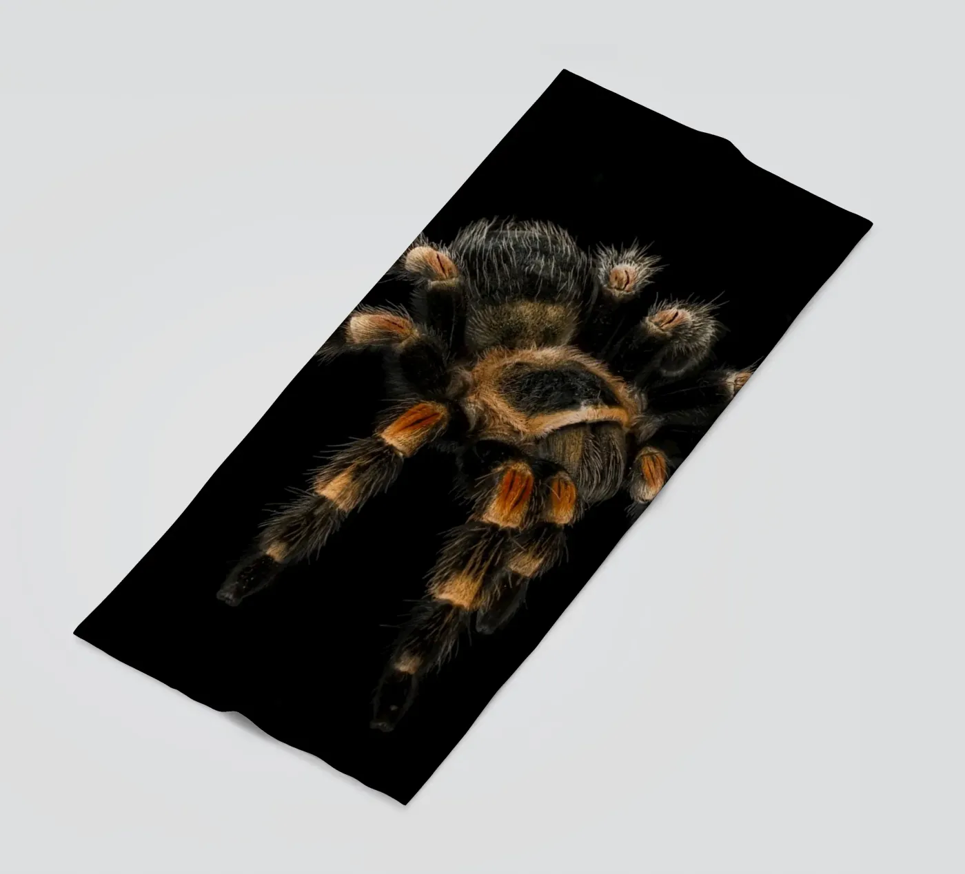 Tarantula telo mare da Curious Collections by Marielle Leenders