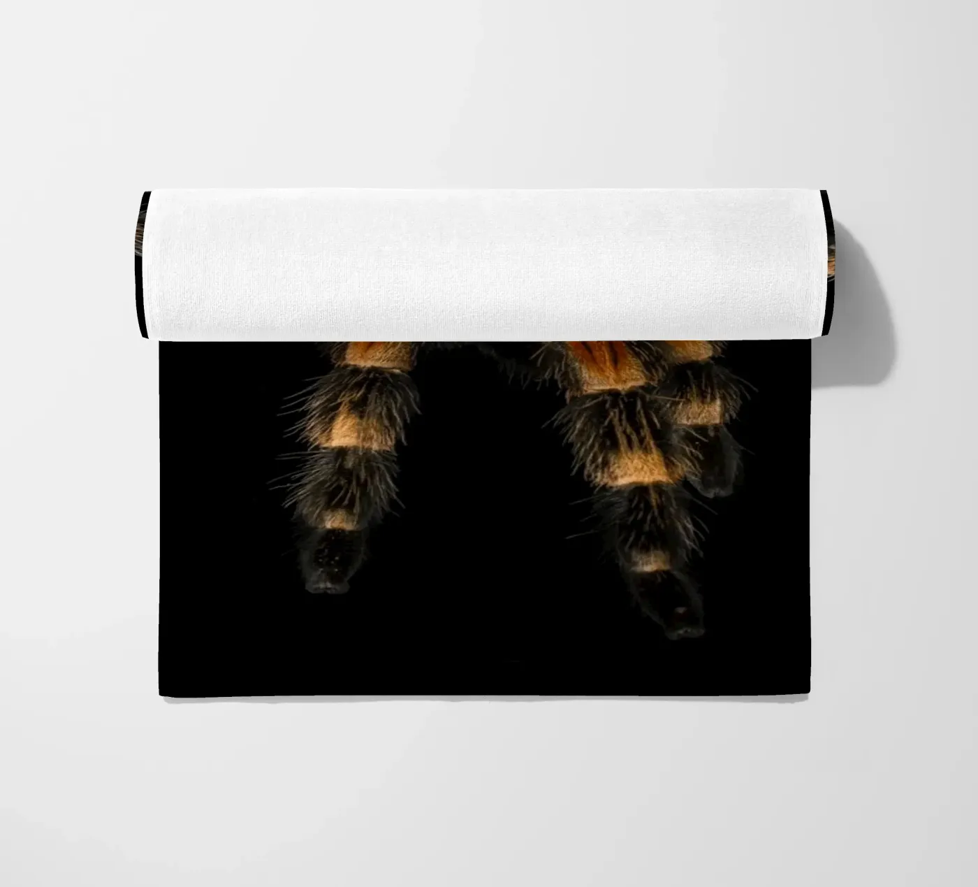 Tarantula telo mare da Curious Collections by Marielle Leenders