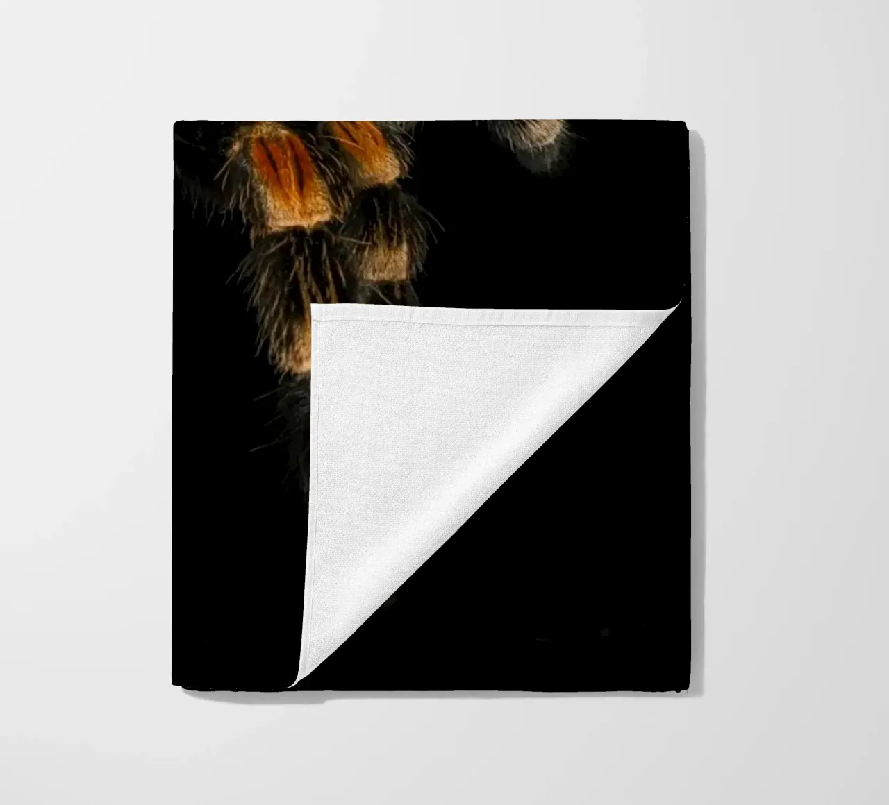 Tarantola telo mare da Curious Collections by Marielle Leenders