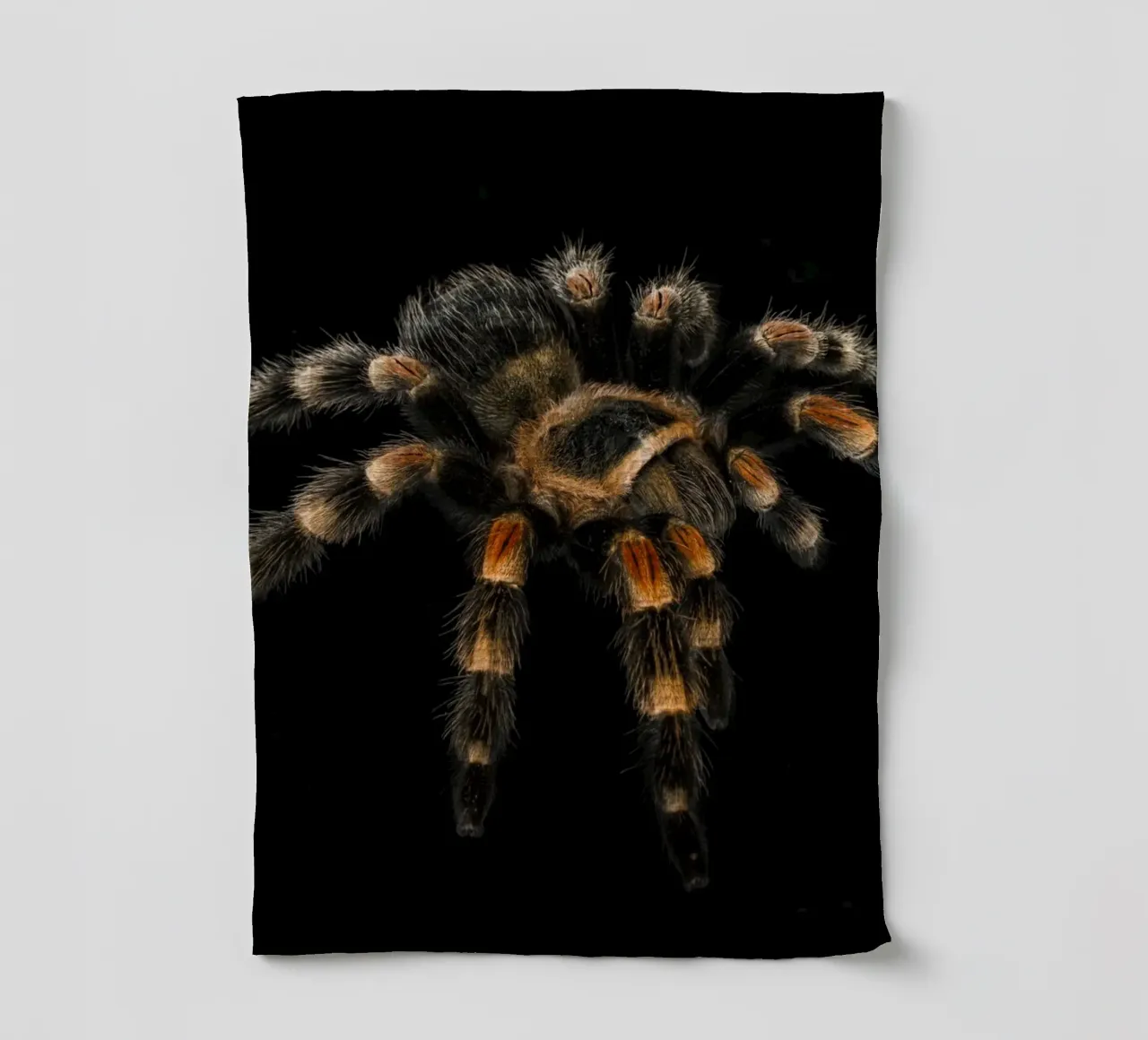 Tarentule torchon de Curious Collections by Marielle Leenders