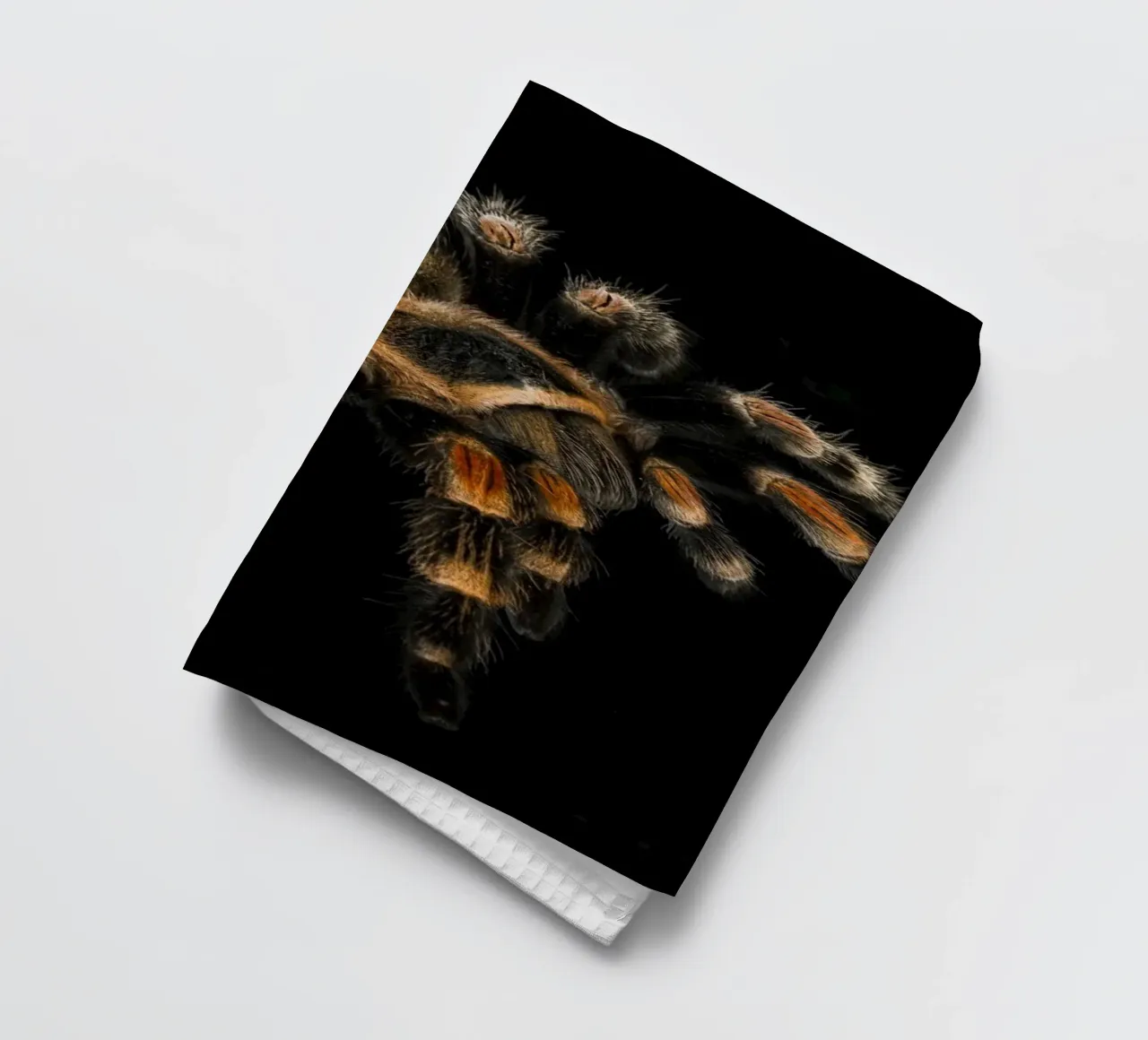 Tarentule torchon de Curious Collections by Marielle Leenders