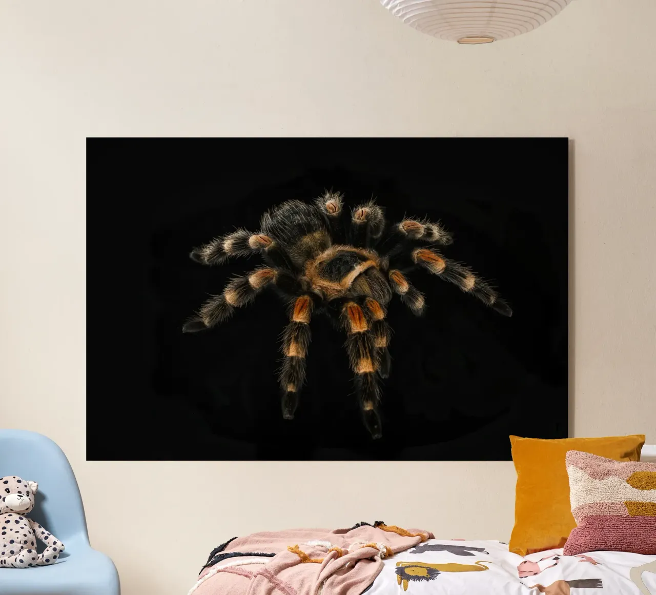 Tarentule plexiglas de Curious Collections by Marielle Leenders