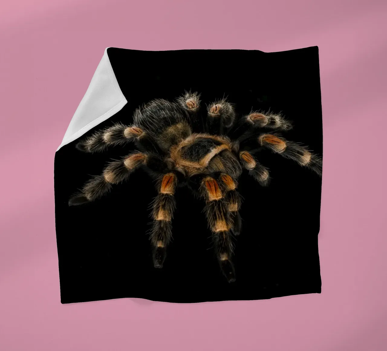 Tarantula fleecedeken van Curious Collections by Marielle Leenders
