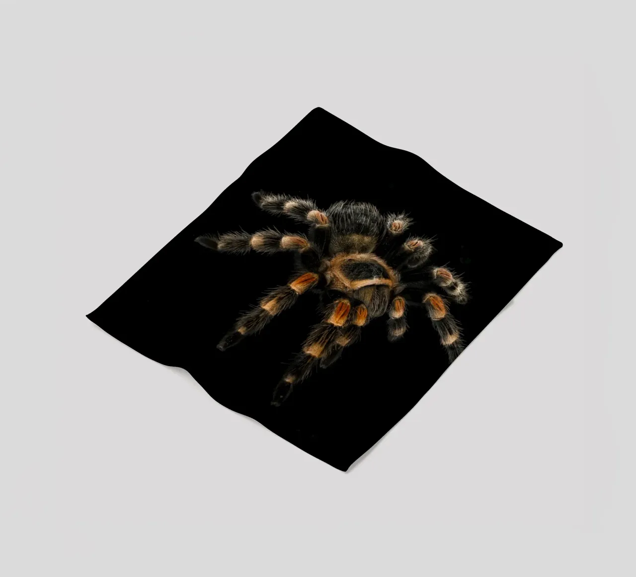 Tarantola coperta in pile da Curious Collections by Marielle Leenders
