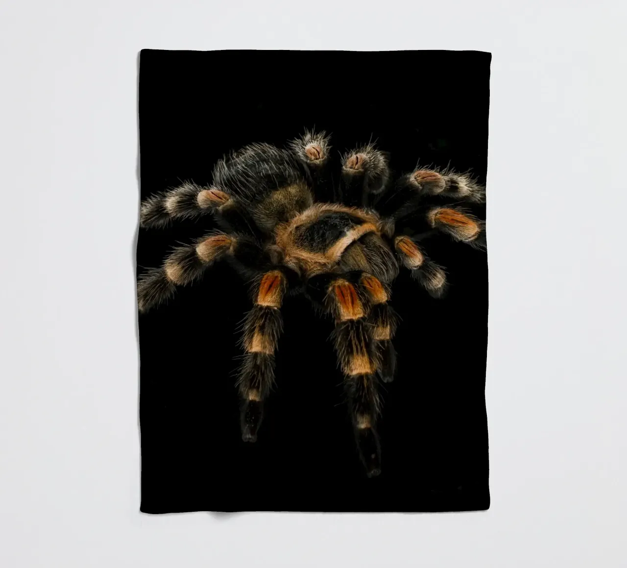 Tarantula fleecedeken van Curious Collections by Marielle Leenders