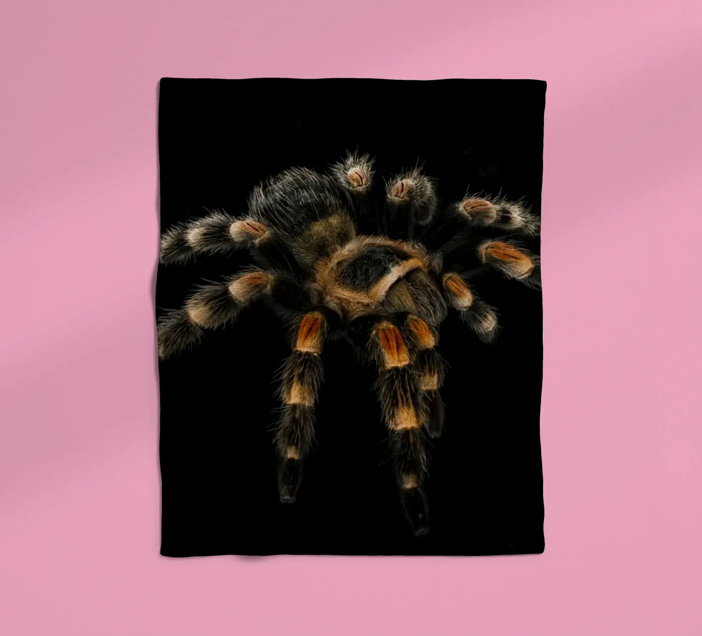 Vogelspinne Fleecedecke von Curious Collections by Marielle Leenders