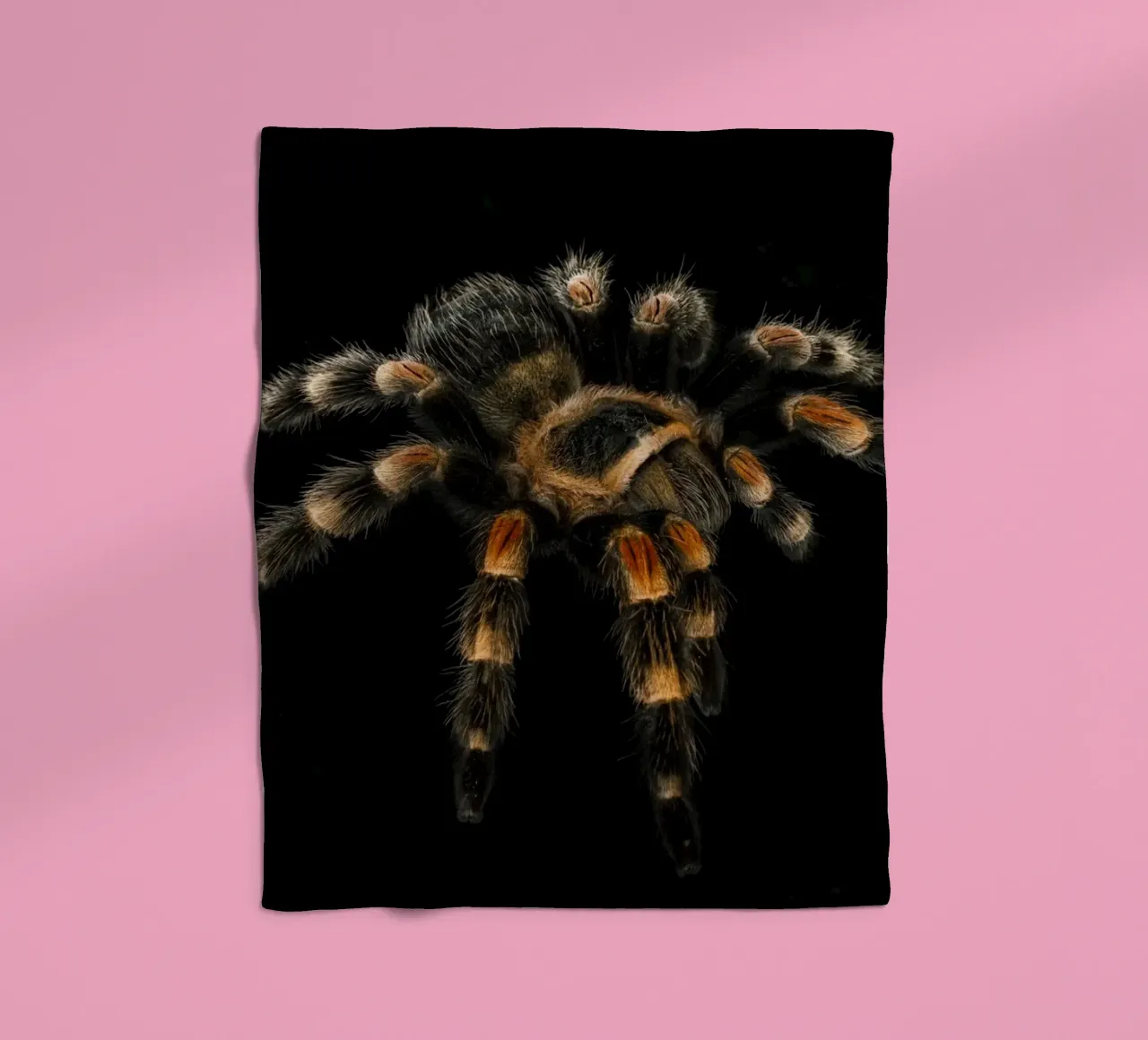 Tarantula fleecedeken van Curious Collections by Marielle Leenders