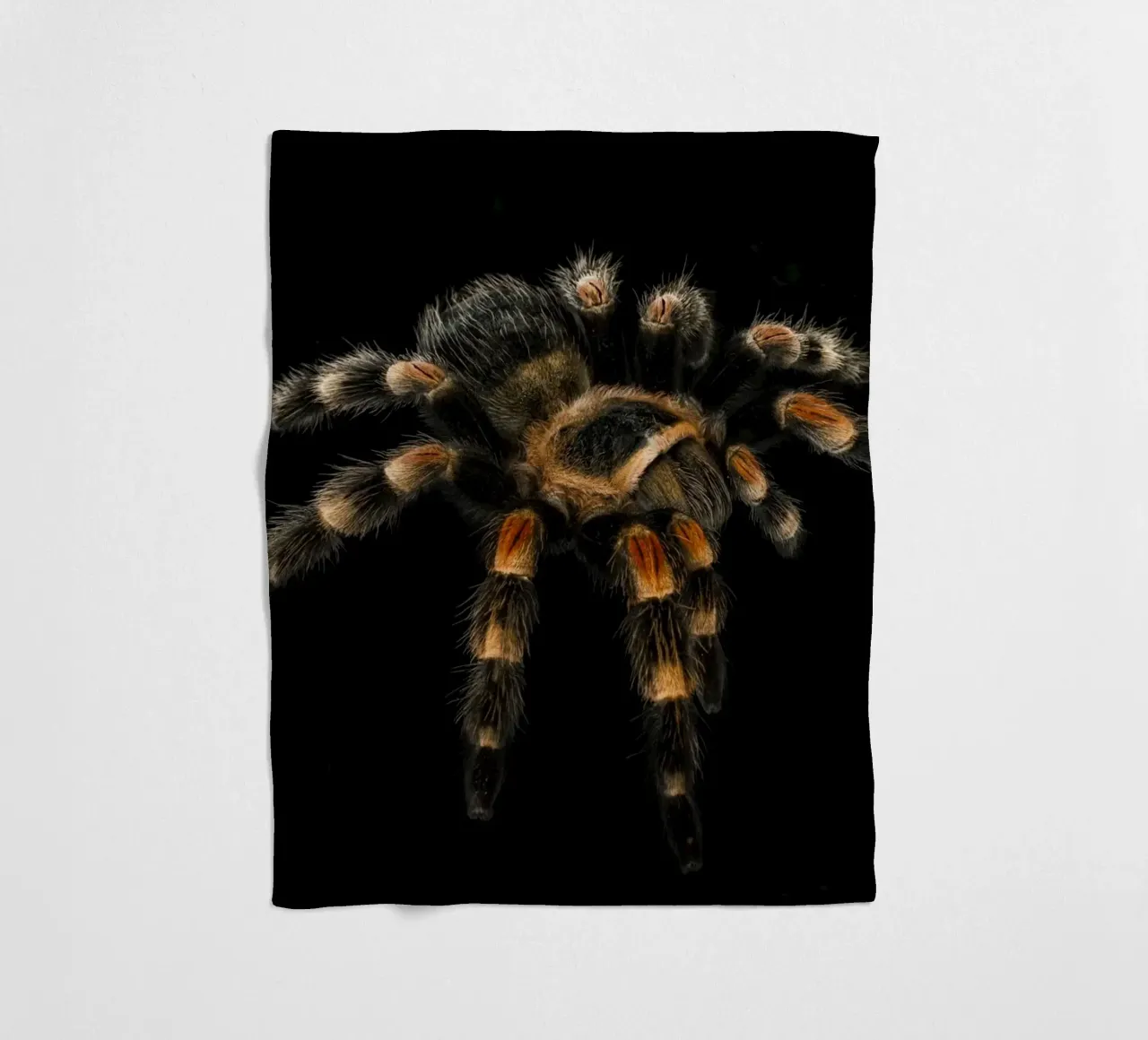 Tarantola coperta in pile da Curious Collections by Marielle Leenders