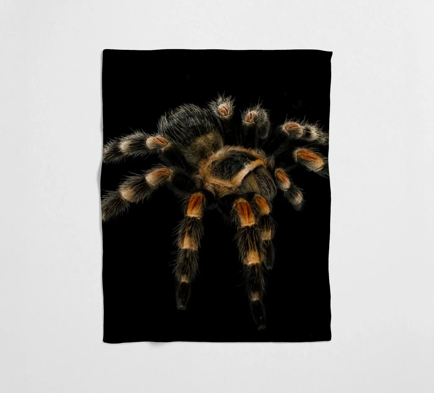 Vogelspinne Fleecedecke von Curious Collections by Marielle Leenders