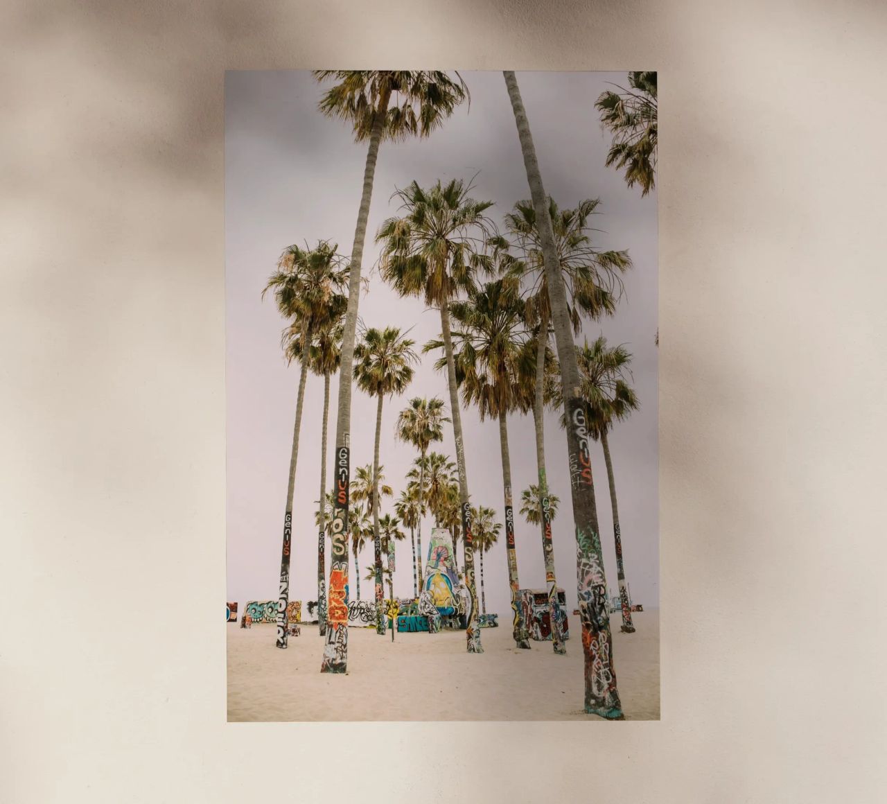 Venice Beach Palm Trees pellicola backlit da patiphotography