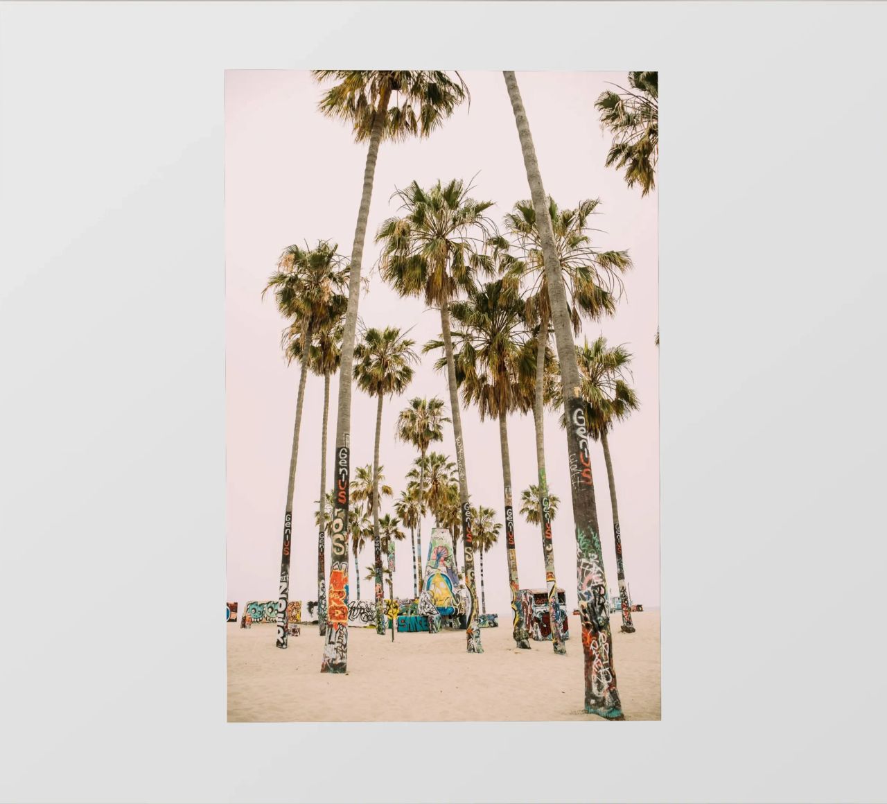 Venice Beach Palm Trees pellicola backlit da patiphotography