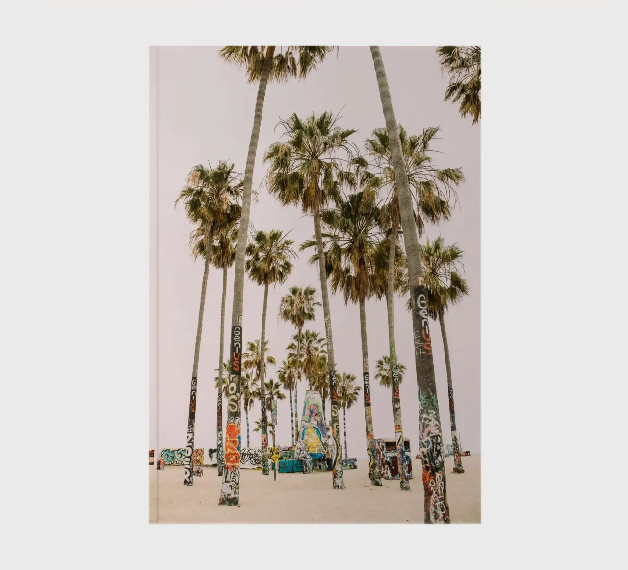 Venice Beach Palm Trees notebook by patiphotography