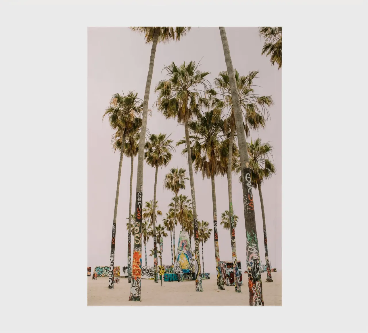Venice Beach Palm Trees notebook by patiphotography
