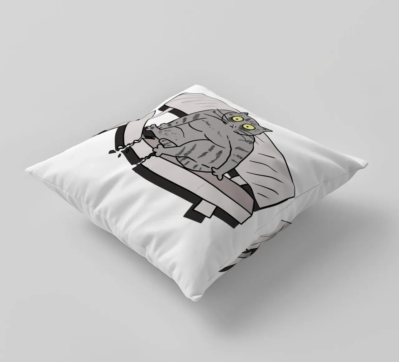 The Cat and the Broken Bench cuscino da edsonramosart