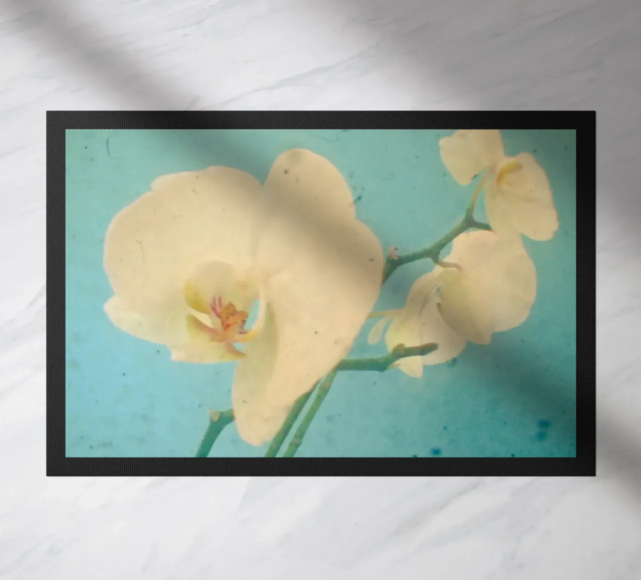 Blu vero zerbino da Cassia Beck Photography