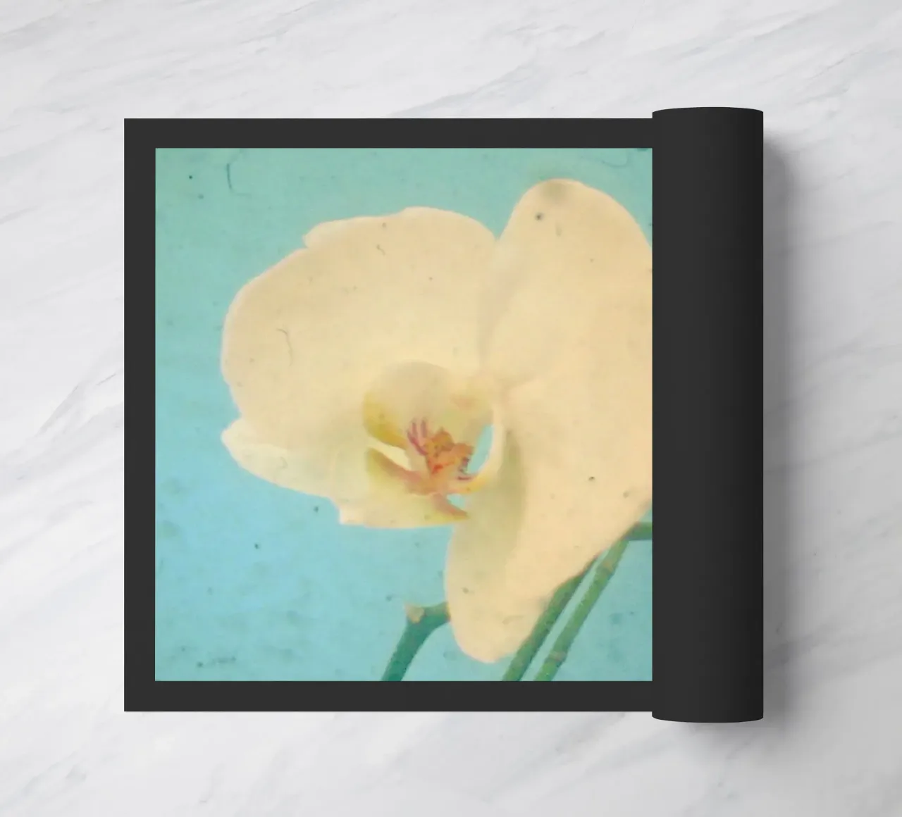 Blu vero zerbino da Cassia Beck Photography