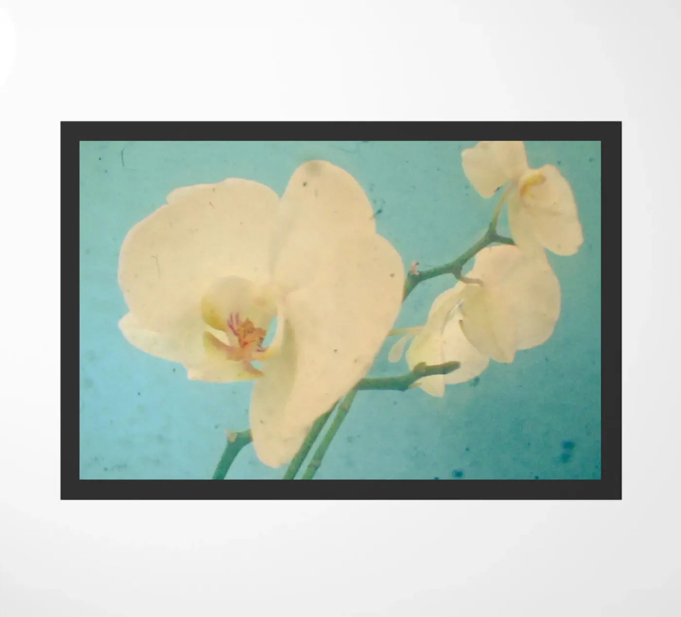 True Blue Fußmatte von Cassia Beck Photography