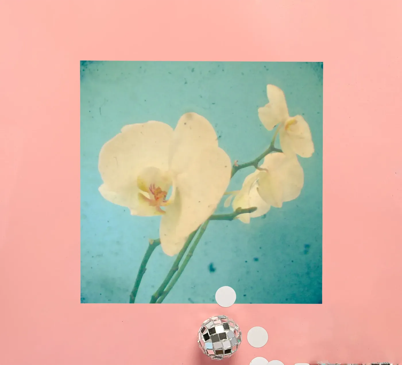 True Blue sticker by Cassia Beck Photography