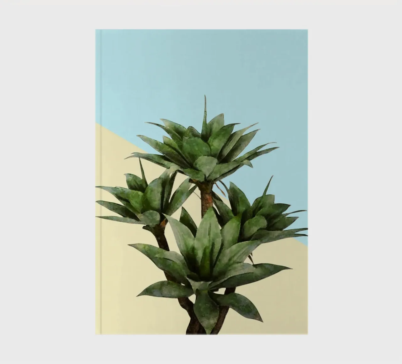 Agave 02 notebook by amini54