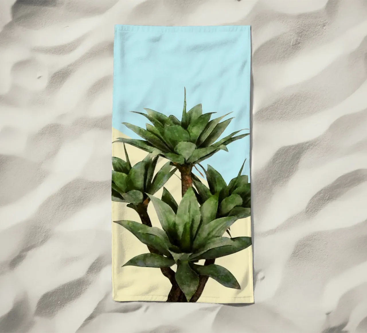 Agave 02 telo mare da amini54
