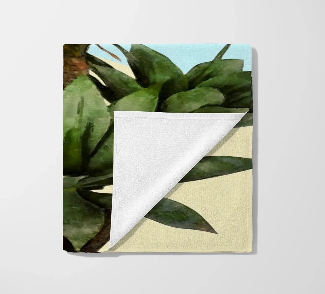 Agave 02 telo mare da amini54
