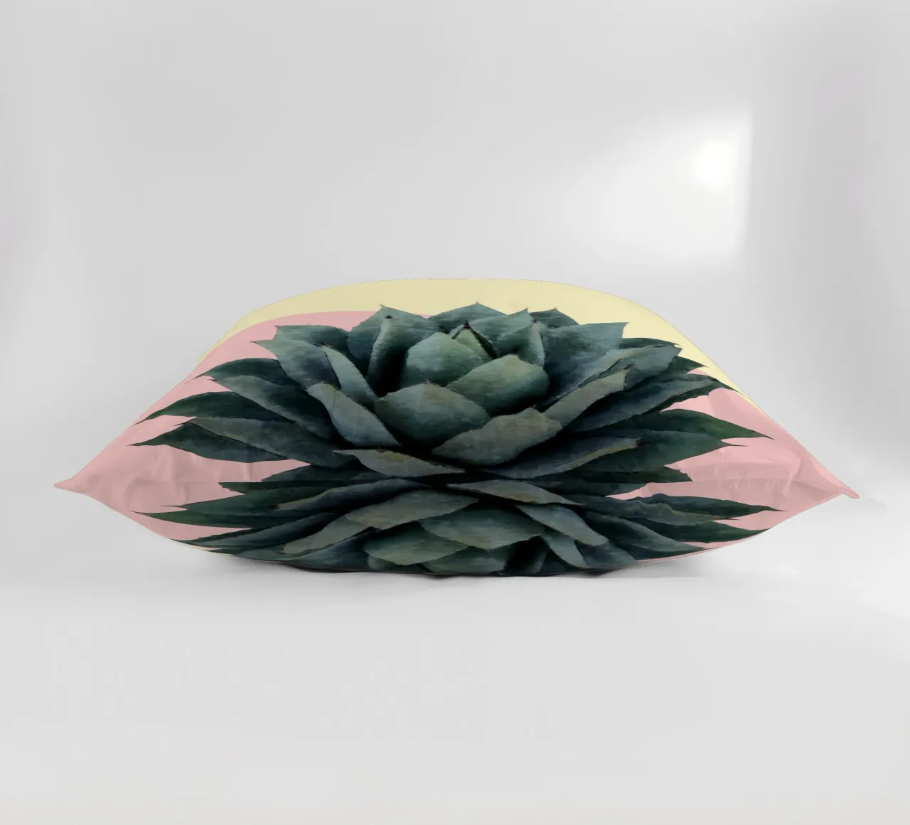 Agave 04 cuscino da amini54