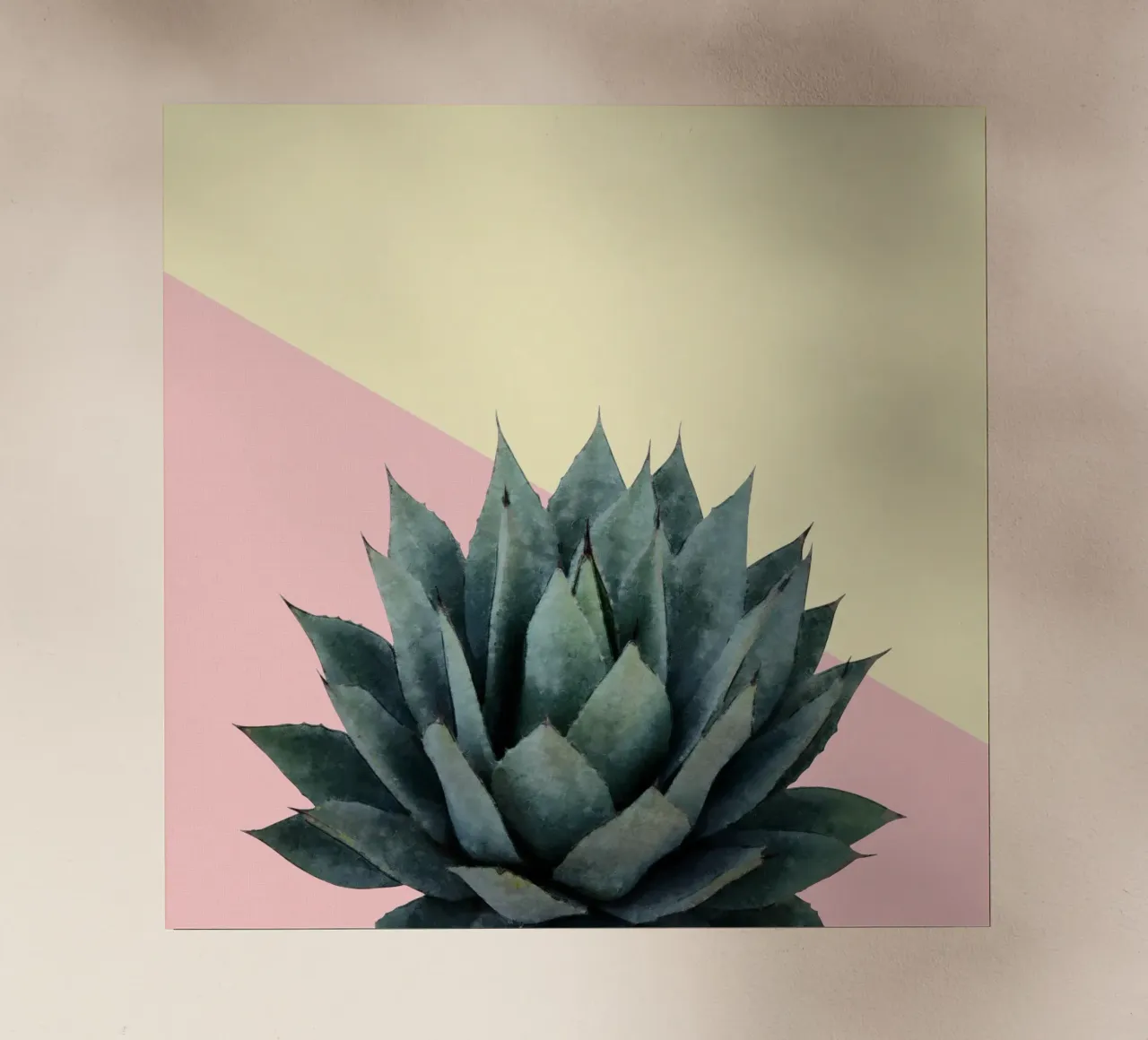 Agave 04 pellicola backlit da amini54
